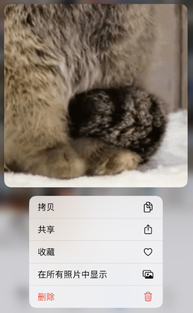 小技巧:在 iPhone 14 执行这些操作,可快速打开常用功能