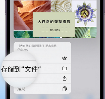 荆州apple维修中心分享iPhone文件应用中存储和找到下载文件