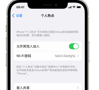 荆州apple服务站点分享iPhone上个人热点丢失了怎么办 