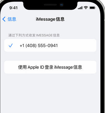 荆州apple维修iPhone上无法正常发送iMessage信息