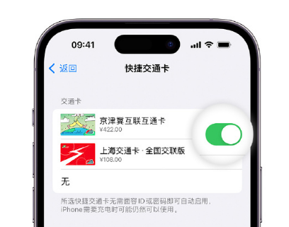 荆州apple维修点分享iPhone上更换Apple Pay快捷交通卡手绘卡面 