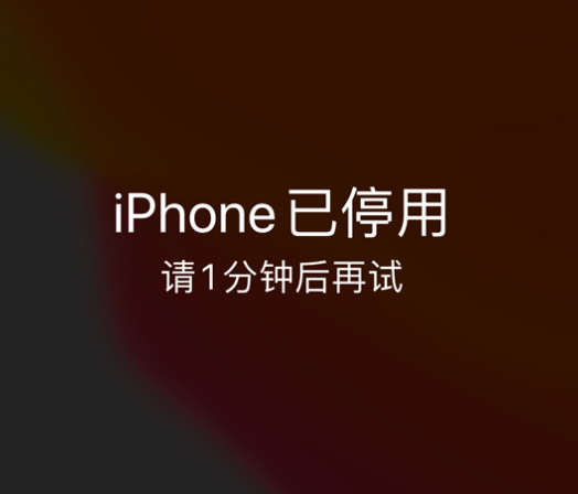 荆州苹果手机维修分享:iPhone 显示“不可用”或“已停用”怎么办？还能保留数据吗？ 