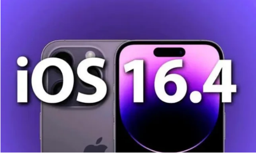 荆州苹果14维修分享：iPhone14可以升级iOS16.4beta2吗？ 