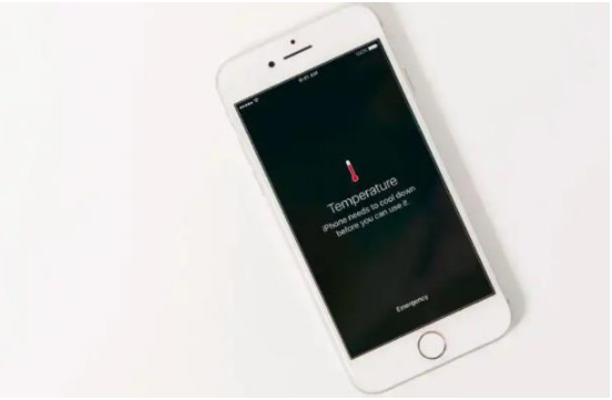 荆州苹果手机维修分享iPhone 手机发热如何快速降温 