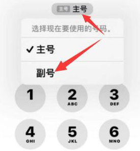 荆州苹果14维修店分享iPhone 14 Pro Max使用副卡打电话的方法 