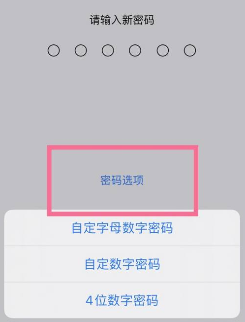 荆州苹果14维修分享iPhone 14plus设置密码的方法 