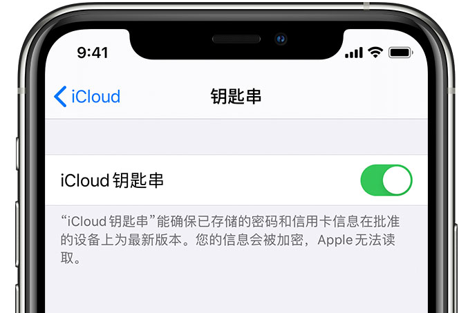 荆州苹果手机维修分享在 iPhone 上开启 iCloud 钥匙串之后会储存哪些信息 