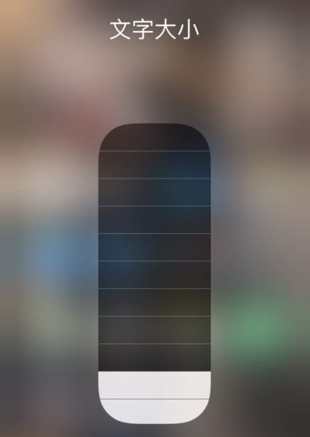 荆州苹果手机维修分享小技巧：在 iPhone 控制中心快速调节字体大小 