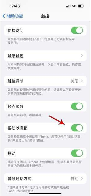 荆州苹果手机维修分享iPhone手机如何设置摇一摇删除文字 