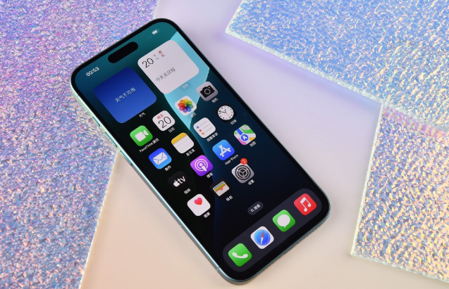 荆州苹果手机维修分享为什么大家不喜欢苹果iPhone 16 Plus 