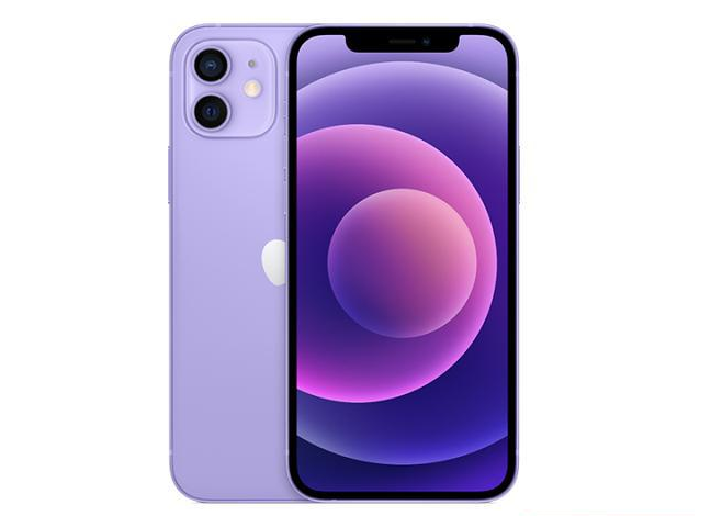 荆州苹果手机维修分享现阶段要不要入手紫色版iPhone12 