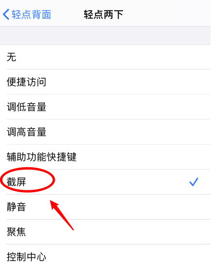 荆州苹果手机维修分享iPhone12如何启用双击截屏 