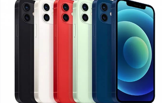 荆州苹果维修点分享iPhone12 Pro Max进水维修 