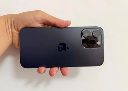 荆州苹果维修点分享iPhone 14 Pro Max黑屏少见故障盘点 